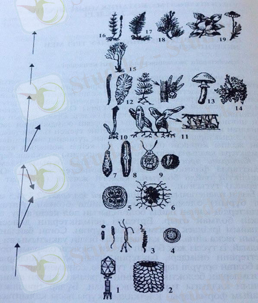 ÐÐ°ÑÑÐ¸Ð½ÐºÐ¸ Ð¿Ð¾ Ð·Ð°Ð¿ÑÐ¾ÑÑ Ð°ÑÑÐµÐ¹ ÑÑÐ°ÑÑ Ó©ÑÑÐ¼Ð´ÑÐºÑÐµÑ
