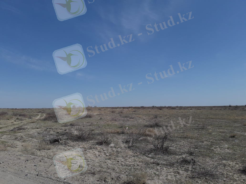 C:\Users\Халима\Desktop\Новая папка\IMG-20200410-WA0015.jpg