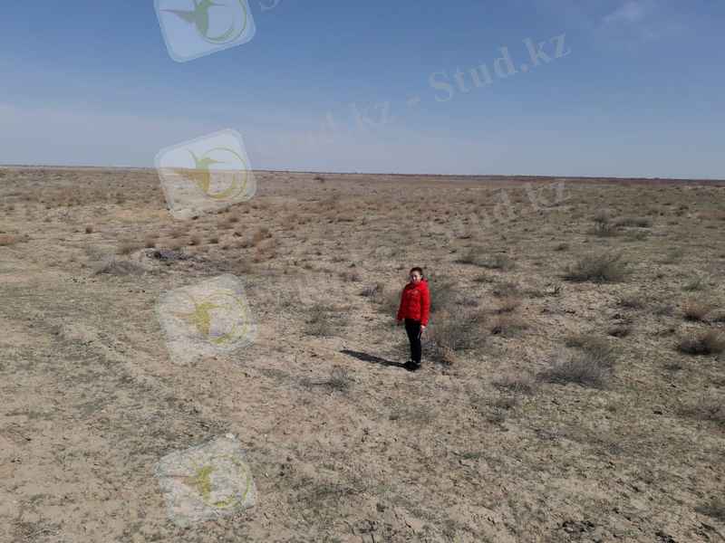 C:\Users\Халима\Desktop\Новая папка\IMG-20200410-WA0036.jpg