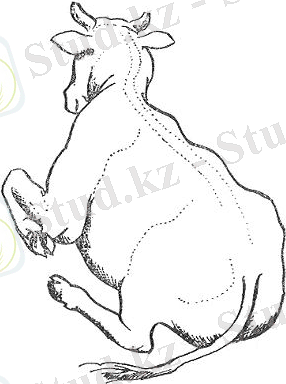 ÐÐ°ÑÑÐ¸Ð½ÐºÐ¸ Ð¿Ð¾ Ð·Ð°Ð¿ÑÐ¾ÑÑ Ð¿Ð¾ÑÐ»ÐµÑÐ¾Ð´Ð¾Ð²Ð¾Ð¹ Ð¿Ð°ÑÐµÐ·