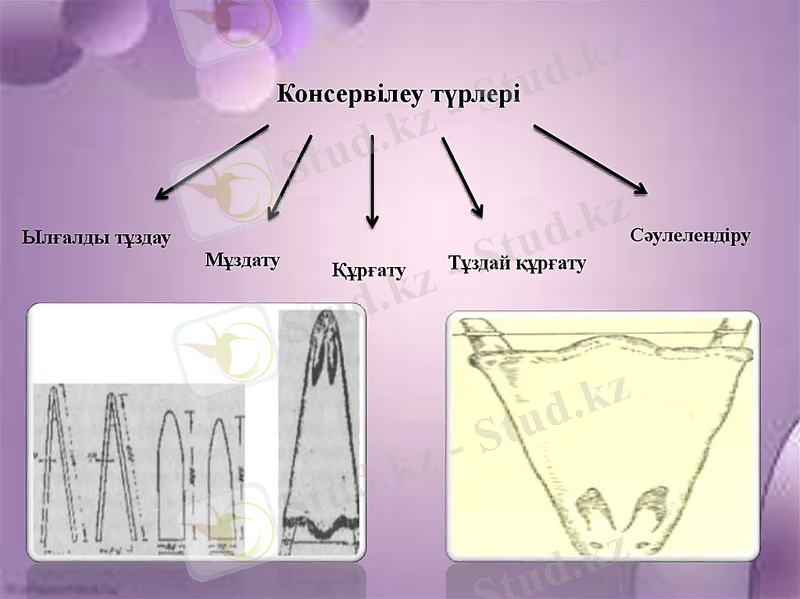Теріні консервілеу және сақтау, Тері сапасының негізгі көрсеткіштері, Былғары шикізатының ақаулары - презентация онлайн