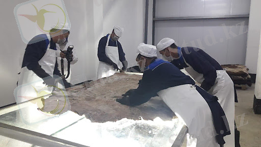 Жайық Пресс - Қалдықсыз өндіріске көшкен «Кублей» тері өңдеу цехын іске қосады - официальные новости ЗКО