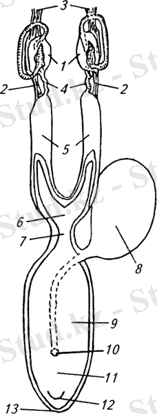 C:\Users\АСЕР\Desktop\сабаквм321\курстық жұмыс\i_001.png