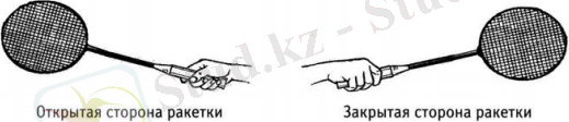 Название сторон головки ракетки 