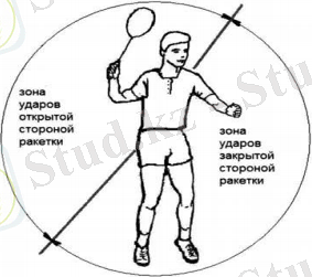 Зоны ударов различными сторонами ракетки относительно тела спортсмена