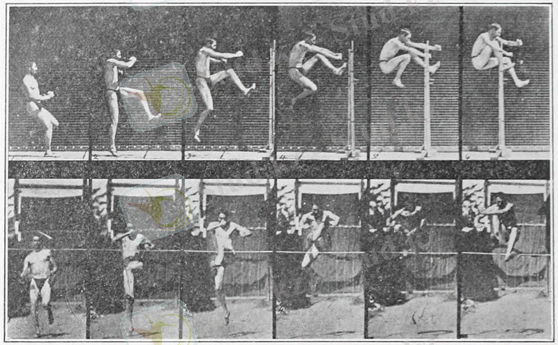 https://upload.wikimedia.org/wikipedia/commons/thumb/f/f4/PSM_V83_D522_Athlete_making_standing_high_jump.jpg/1200px-PSM_V83_D522_Athlete_making_standing_high_jump.jpg
