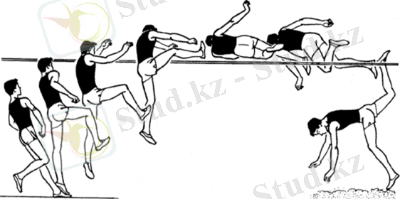 Основы техники прыжка в высоту способом «перекат» (контурограмма)