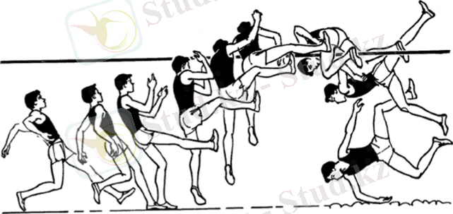 Основы техники прыжка в высоту способом «перекидной» (контурограмма)