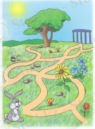 C:\Users\Базик\Desktop\Тіл дамыту сурет.bmp