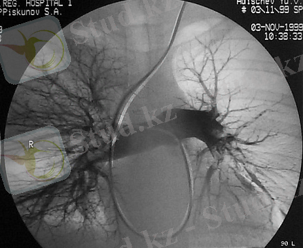 C:\Users\Жусипбек Калдыбай\Desktop\23b9355b1c15bd910a7c36f53ba4971b.jpg