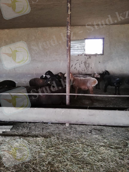 7725b486-3d69-4b87-96ec-49f2f04aa1f8