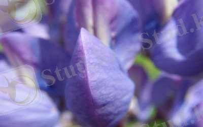 C:\Users\USER\Desktop\документы\Улданчик\Новая папка\бөр.jpg