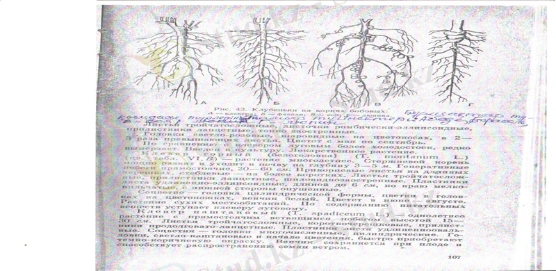 описание: c:\users\user\desktop\новая папка (2)\24.jpeg