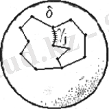 C:\Users\Admin\Desktop\Новый точечный рисунок.bmp