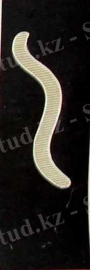 Картинки по запросу "жіпше тәрізді фагтар"