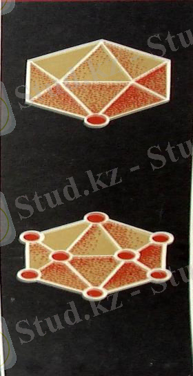 Картинки по запросу "жіпше тәрізді фагтар"