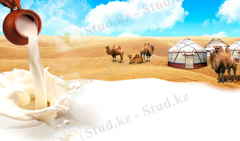 Түйе сүті экспортқа шығады