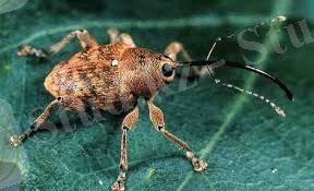 C:\Users\Kanzat\AppData\Local\Microsoft\Windows\Temporary Internet Files\Content.Word\Без названия.jpg