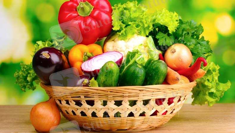 ЭКСПО-ға 171 млн теңге болатын 420 тонна өнім жеткізіледі | "Айқын ... 