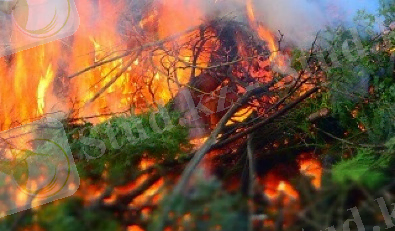 ОРМАНДАҒЫ ӨРТ: ҚАУІПСІЗДІКТІ САҚТАУ ЖОЛДАРЫ - «JETISÝ» gazeti