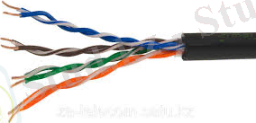 Без названия.jpg