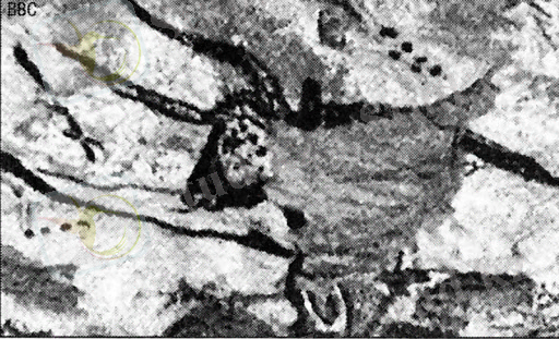 Самые древние карты звездного неба - Новости - Hypernova.ru