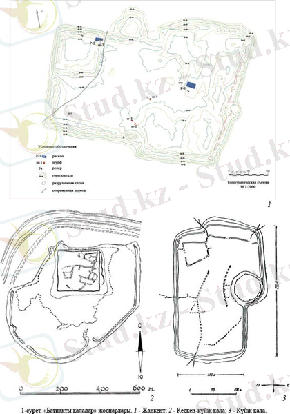 F:\Локальный диск Д\МАТЕРИАЛЫ_1\ТАЖЕКЕЕВ А.А\СТАТЬИ\2011. Кызылорда. Тажекеев А.А.,Курманкулов Ж.К., Аржанцева И.А\Материалы\2-сурет.tif