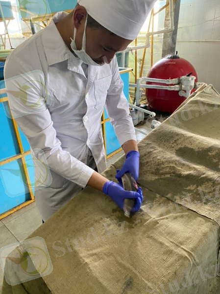 C:\Users\Темирбек\Downloads\WhatsApp Image 2021-05-12 at 22.20.23.jpeg