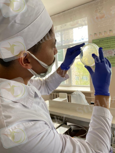 C:\Users\Темирбек\Downloads\WhatsApp Image 2021-05-12 at 22.20.44.jpeg