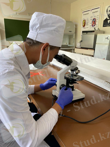 C:\Users\Темирбек\Downloads\WhatsApp Image 2021-05-12 at 22.20.47.jpeg