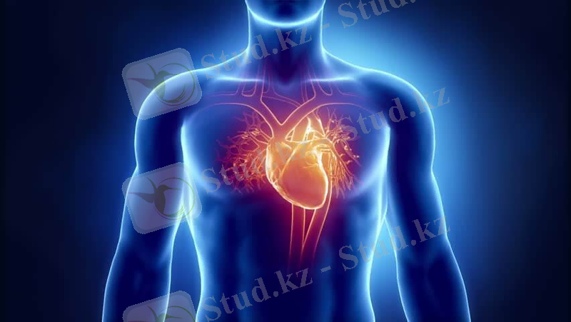 Картинки по запросу заболевания сердечно-сосудистой системы