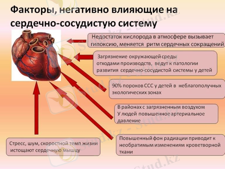 Картинки по запросу заболевания сердечно-сосудистой системы