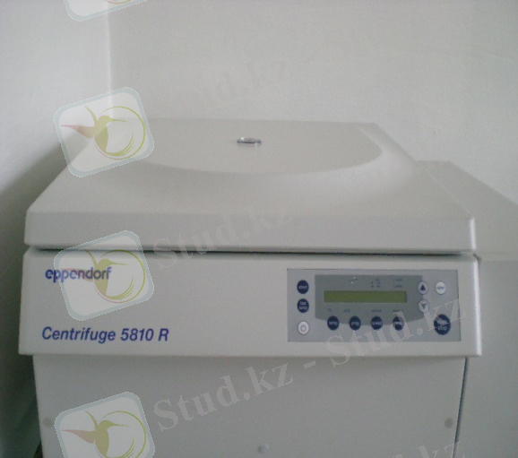 Описание: Изображение 037