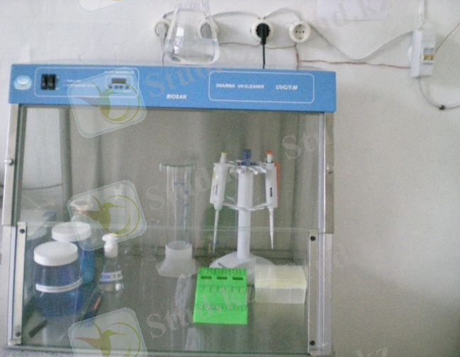 Описание: Изображение 042