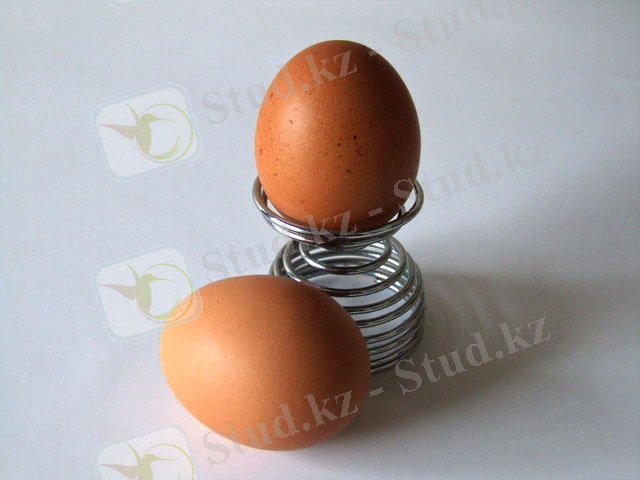 C:\Eggs-5486.JPG