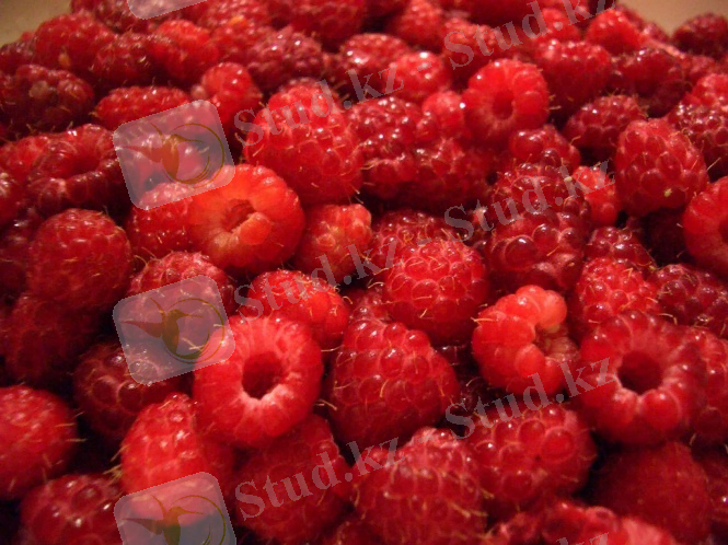 Танкурай (=малина) вареньеси | .:: АСПАЗДЫҚ ::.