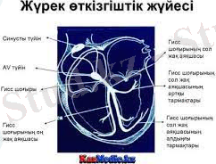 Без названия.jpg