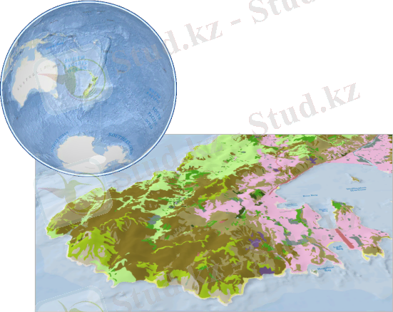 Ауқымды және жергілікті көріністер