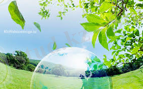 Экология — что это такое и какие проблемы изучает данная наука | KtoNaNovenkogo.ru