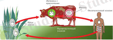 Без названия (5).jpg