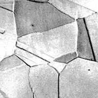 Микроструктура. Аустенит