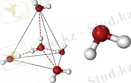ВЛИЯНИЕ ТЯЖЕЛЫХ ИЗОТОПОВ ВОДОРОДА И КИСЛОРОДА НА БИОЛОГИЧЕСКИЕ СВОЙСТВА ВОДЫ – УКРАЇНСЬКИЙ ЦЕНТР ВОДНО-ЕКОЛОГІЧНИХ ПРОБЛЕМ