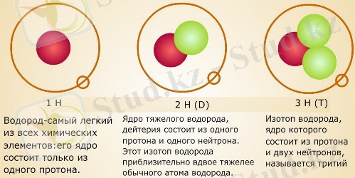Тест неорганические вещества клетки. Биология в лицее