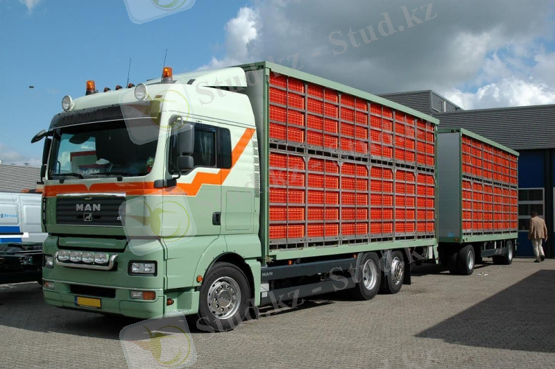 Как осуществляется перевозка живой птицы?