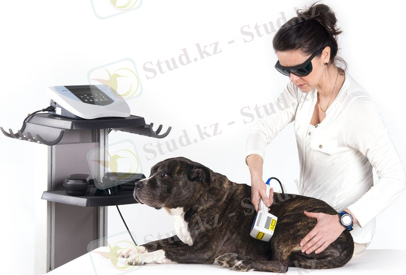 WhatsApp Image 2021-11-24 at 19.17.52 (1).jpeg