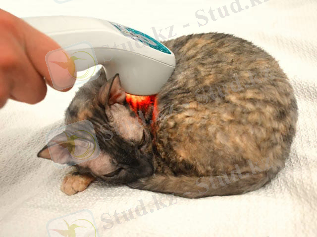 WhatsApp Image 2021-11-24 at 19.17.50.jpeg