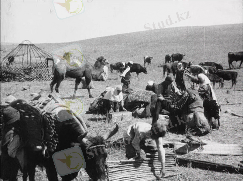 ВЕЛИКИЙ ДЖУТ: 4 ГЛАВНЫХ ВОПРОСОВ | Диалог | Интернет издание