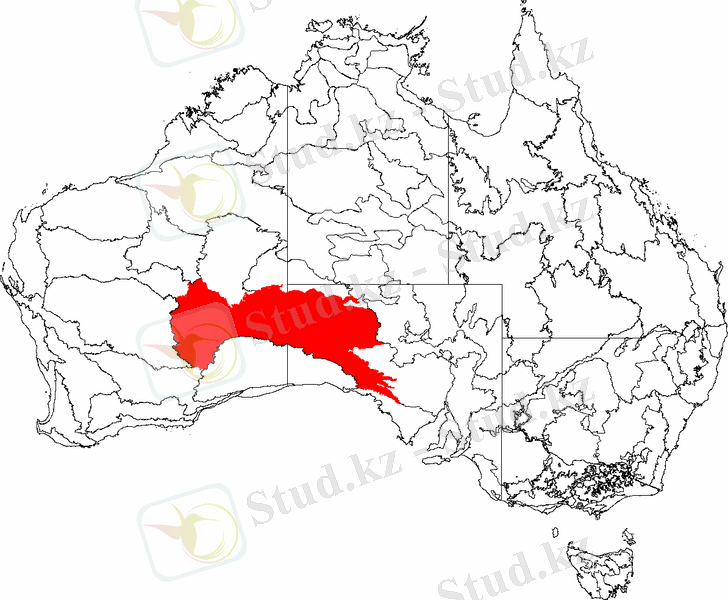 Изображение выглядит как карта Автоматически созданное описание