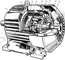 Электрические машины. В 2 ч.