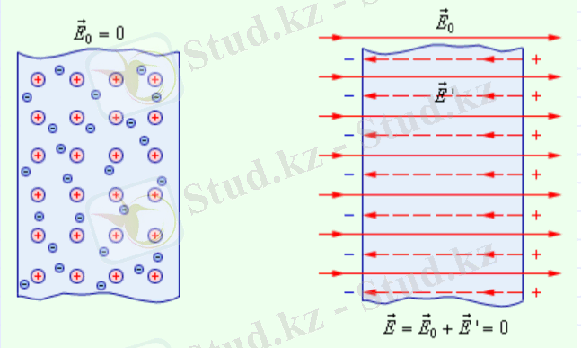C:\Users\ASUS\Desktop\Без имени.png